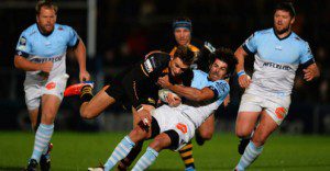 It's all to play for as Bayonne entertain Wasps in the Amlin Cup