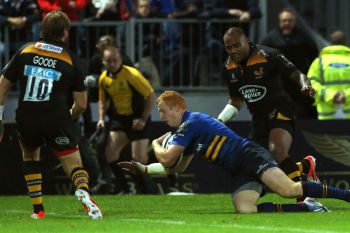 A brave display from Wasps wasn't quite enough to see off Leinster. 