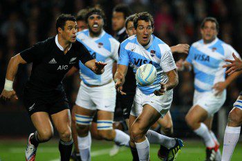 Fernandez and the Pumas worked hard in their losses to the All Blacks 
