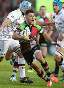 How Northampton nullify the threat of Quins' Danny Care will go a long way to deciding their Amlin Cup semi final