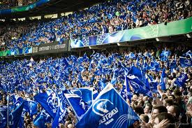 Leinster's support has grown enormously in the past decade. 