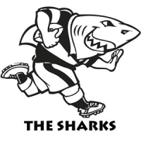 Super-Rugby-Sharks